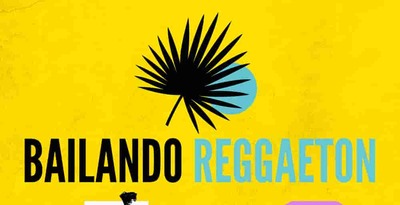 Bailando reggaeton production master reggaeton loops 512