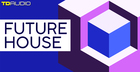 TD Audio - Future House