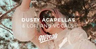 91v dal cover art dusty rnb 512 vocal loops