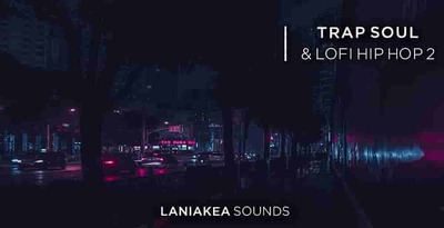 512 laneakia sounds hip hop loops lofi hip hop 2