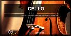 Image Sounds Present - Cello