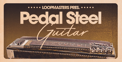 Royalty free pedal steel guitar samples  steel guitar loops  country riffs  hawaiian style music  bluegrass jams rectangle