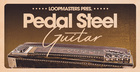 Pedal Steel Guitar