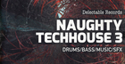 Naughty TechHouse 03