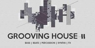 Grooving house 2 100 hcafx