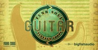 Fsvintageguitar 512