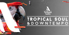 Tropical Soul & Downtempo