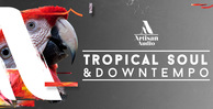 Royalty free downtempo samples  reggaeton drum loops  tropical pitched vocal loops  downtempo synth and bass loops 512