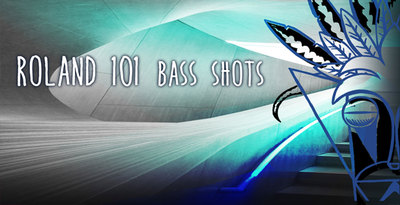 Mfx roland 101 bass shots   1000x512 web