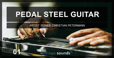 Pedal steel guitar 1 banner