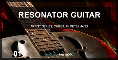 Resonator guitar 1 banner