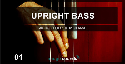 Upright bass 1 banner