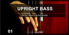 Image Sound Presents - Upright Bass 01