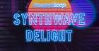 Synthwave Delight