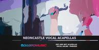 Dabromusic neoncastle vocal acapellas 1000 512 web