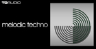 TD Audio -  Melodic Techno