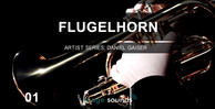Flugelhorn 1 banner
