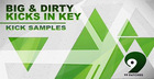 99 Patches Presents: Big & Dirty Kicks in Key