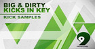 99 Patches Presents: Big & Dirty Kicks in Key
