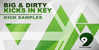 99 patches big   dirty kicks in key 1000 512