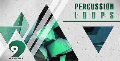 99 patches percussion loops 1000 512