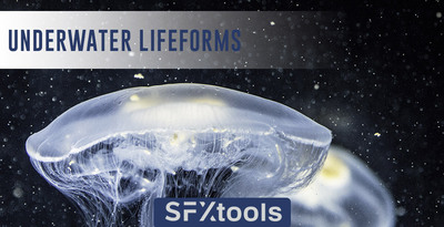 St ul underwater lifeforms 1000x512 web