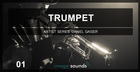 Image Sounds Present - Trumpet 1