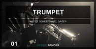 Trumpet banner