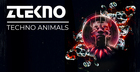 Techno Animals