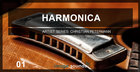 Image Sounds Present - Harmonica 1