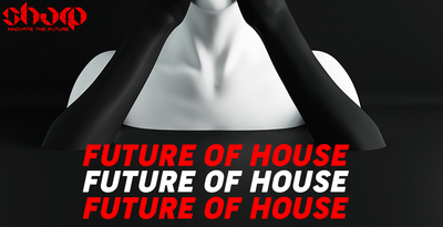 Sharp   future of house 512 web