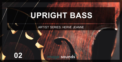 Upright bass 2 banner