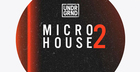 Micro House 2