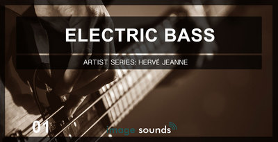 Electric bass 1 banner