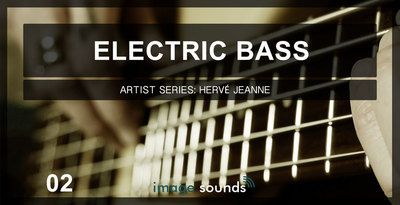 Electric bass 2 banner