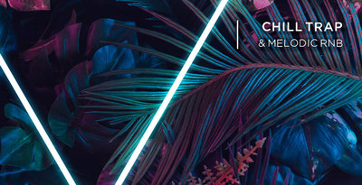 Bannerweb