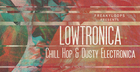 Lowtronica - Chill Hop & Dusty Electronica