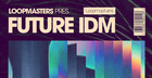 Future IDM