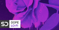 Royalty free hip hop samples  lo fi hip hop drum loops  jazzy chords and keys loops  guitar and electric bass loops rectangle