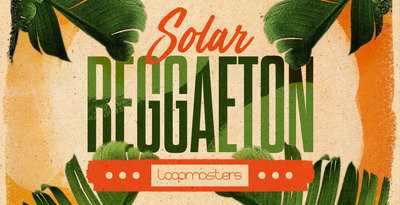 Royalty free reggaeton samples  latin vocal stems  reggaeton bass loops  drum   percussion loops rectangle