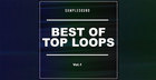Samplesound - Best Of Top Loops