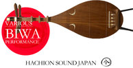 Hachionsound biwa 512 web