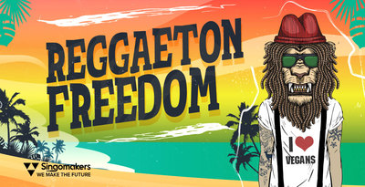 Singomakers reggaeton freedom 1000 512 web
