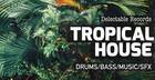 Delectable Records Present - Tropical House 01