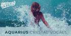 Aquarius - Crystal Vocals