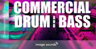 Commercial drum and bass 1 banner