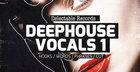 DeepHouse Vocals 01