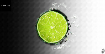 Primate   citrus 1000x512 web