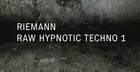 Riemann Raw Hypnotic Techno 1