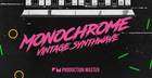 Monochrome - Vintage Synthwave 